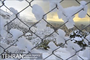 طبیعت برفی شمال تهران 6