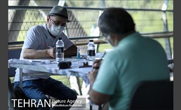 عصرانه کارتون پل طبیعت 36