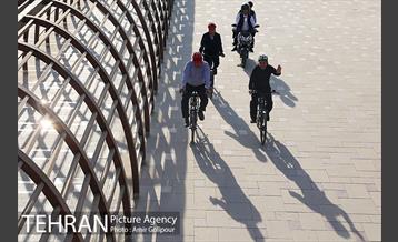 بازدید پیروز حناچی شهردار تهران از بوستان جنگلی چیتگر تا دریاچه شهدای خلیج فارس 18