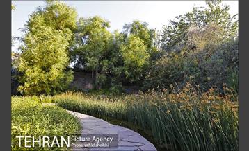 باغ گیاه شناسی ملی ایران  18