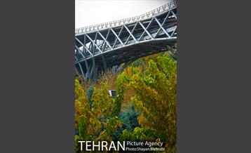 پاییز پل طبیعت 9
