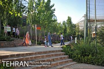 باغ پرندگان تهران 8