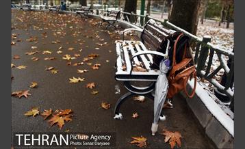 بارش برف پاییزی در تهران 15