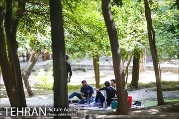بوستان قیطریه 7