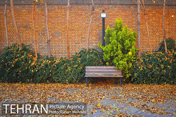 پاییز باغ موزه قصر 6