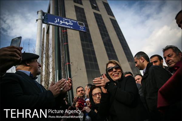 نصب سردیس و نامگذاری خیابان همایون شهنواز 2