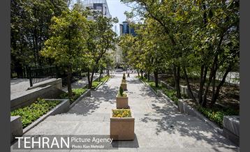 بوستان نیاوران 5