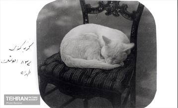 روایت اولین عکاسخانه ایران 36