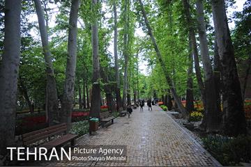 باغ ایراتی (بوستان مهندس مختاری) 24
