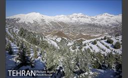 طبیعت برفی تلو 17