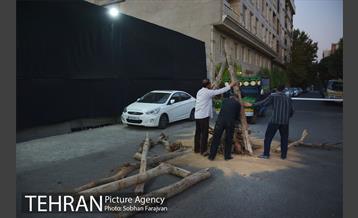 "آیین گل" لرستانی های مقیم تهران 4