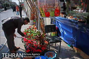 نمایشگاه گل و گیاه نوروزی در پیاده راه ۱۷ شهریور