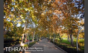 طبیعت پاییزی بوستان لاله 11