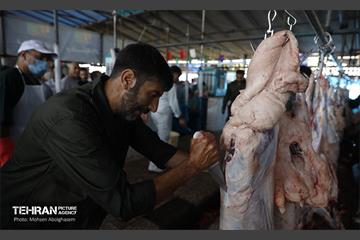 بازدید از مرکز عرضه بهداشتی دام ویژه عید قربان 24