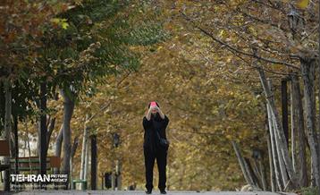 طبیعت پاییزی باغ راه فدک تهران 26