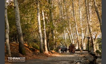 آخرین روزهای پاییزی  17