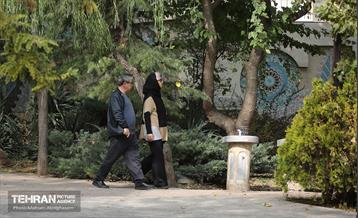 طبیعت پاییزی باغ راه فدک تهران 24