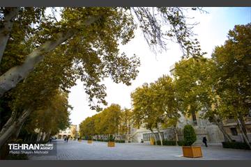 پاییز میدان مشق 36