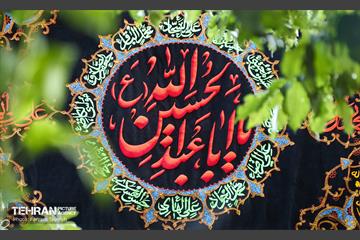 راه اندازی پویش نذر کتاب در ایام محرم در منطقه 5