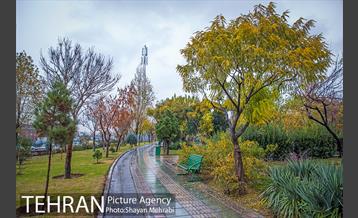 پاییز در بوستان المهدی(عج) 11