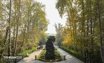 سمفونی رنگ های پاییزی - کاخ سعدآباد 2