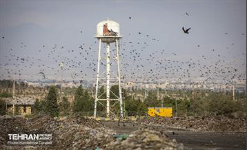 بازدید معاون دادستان کل کشور از مجتمع دفع و پردازش آرادکوه 34
