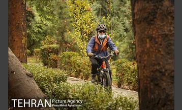 سمفونی برگ های پاییزی 2