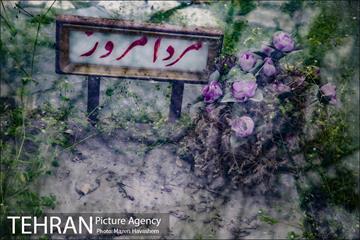 گورستان ظهیرالدوله 29