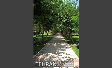 بوستان تمدن (گلبرگ) 9