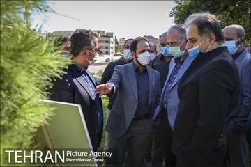 بازدید معاون فنی عمرانی از پروژه های منطقه 12
