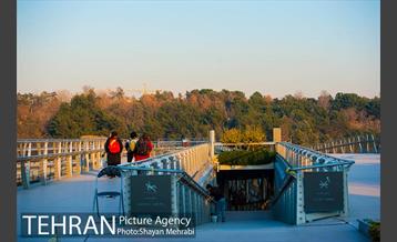 پاییز پل طبیعت 30