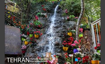 دربند, در بندِ کرونا 8