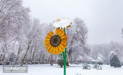 روز برفی در منطقه 6