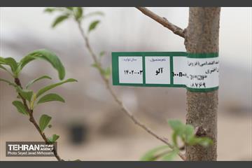 آیین روز درخت‌کاری و پایان پروژه کاشت ۲۵۰۰ هکتار کمربند سبز پایتخت  39