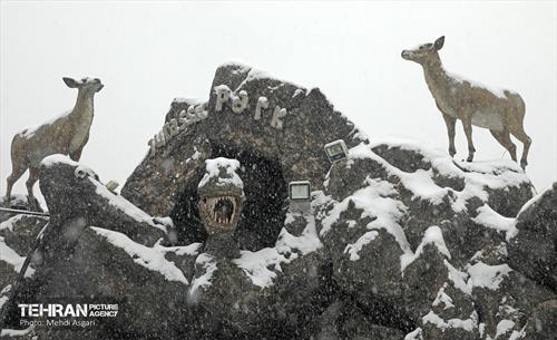 بارش برف زمستانی در منطقه ۲ 35