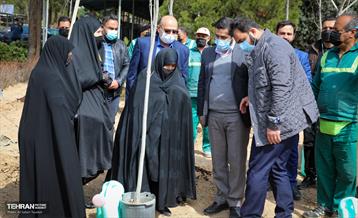 روز درختکاری با حضور مادران شهدا 7