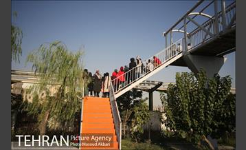 تمرینات سخت کالدرون برای پرسپولیسی‌ها 22