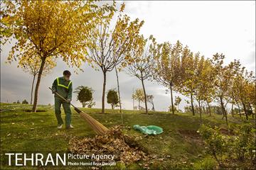 پاییز زیبای پایتخت- 2 6