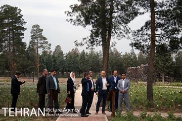 بازدید دبیر کل متروپلیس از دریاچه شهدای خلیج فارس 11