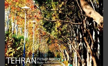 شهرک صدرا 35