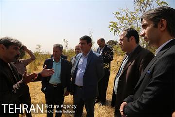 بازدید سید آرش حسینی میلانی از پارک جنگلی چیتگر 14
