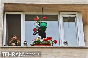 پنجره های شهر تهران 8