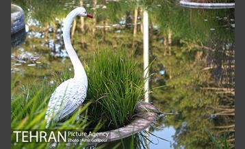 باغ راز هستی 35