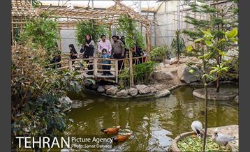 باغ پرندگان 4