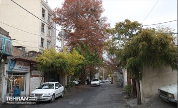 تور گردشگری محله کن 17