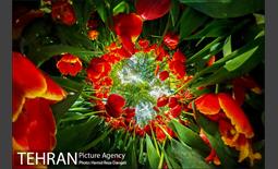 | ویدئو | به زودی تهران را 360 درجه می بینیم