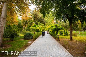 پاییز پارک شهر 18