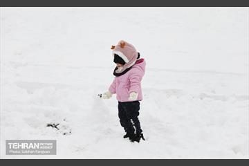 صبح آدینه برفی  11
