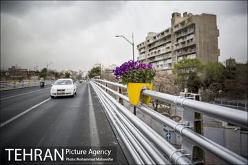 استقبال از بهار در خیابانهای تهران 11