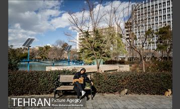 پارک شهر بعد از یک صبح بارانی 17